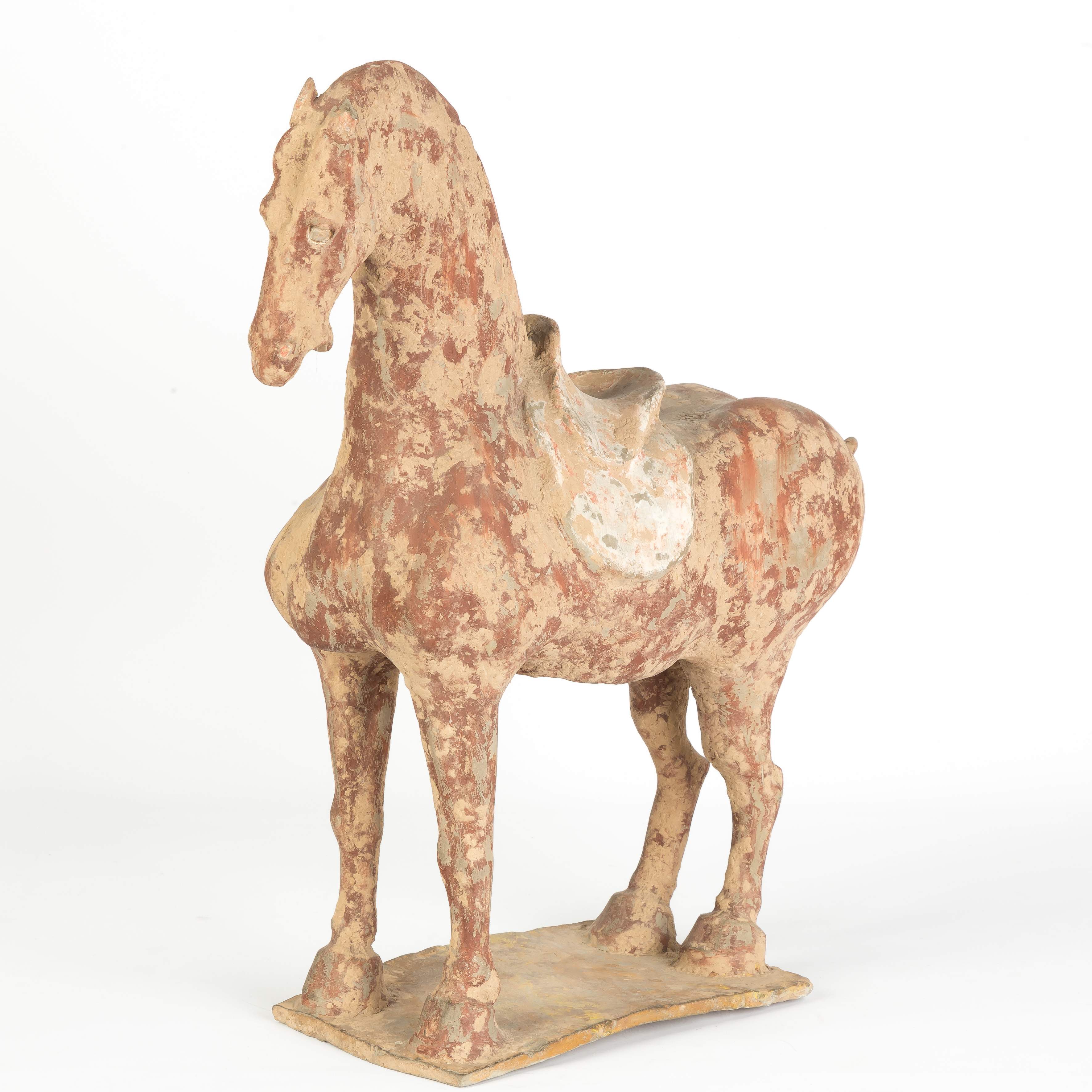 Tang Style Pottery Horse | Cottone Auctions