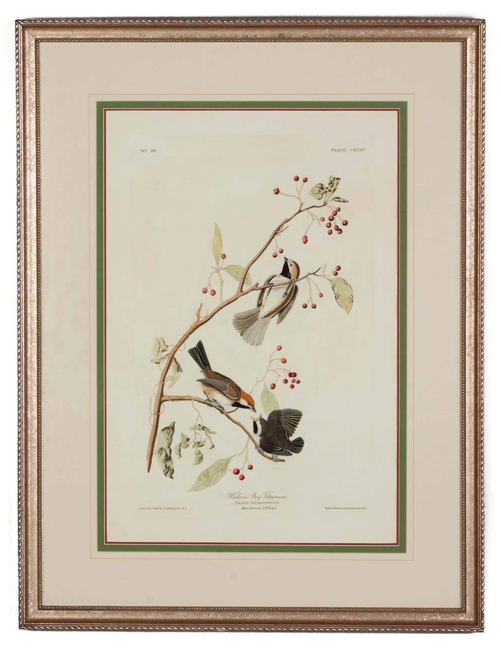 John James Audubon (American, 1785–1851)