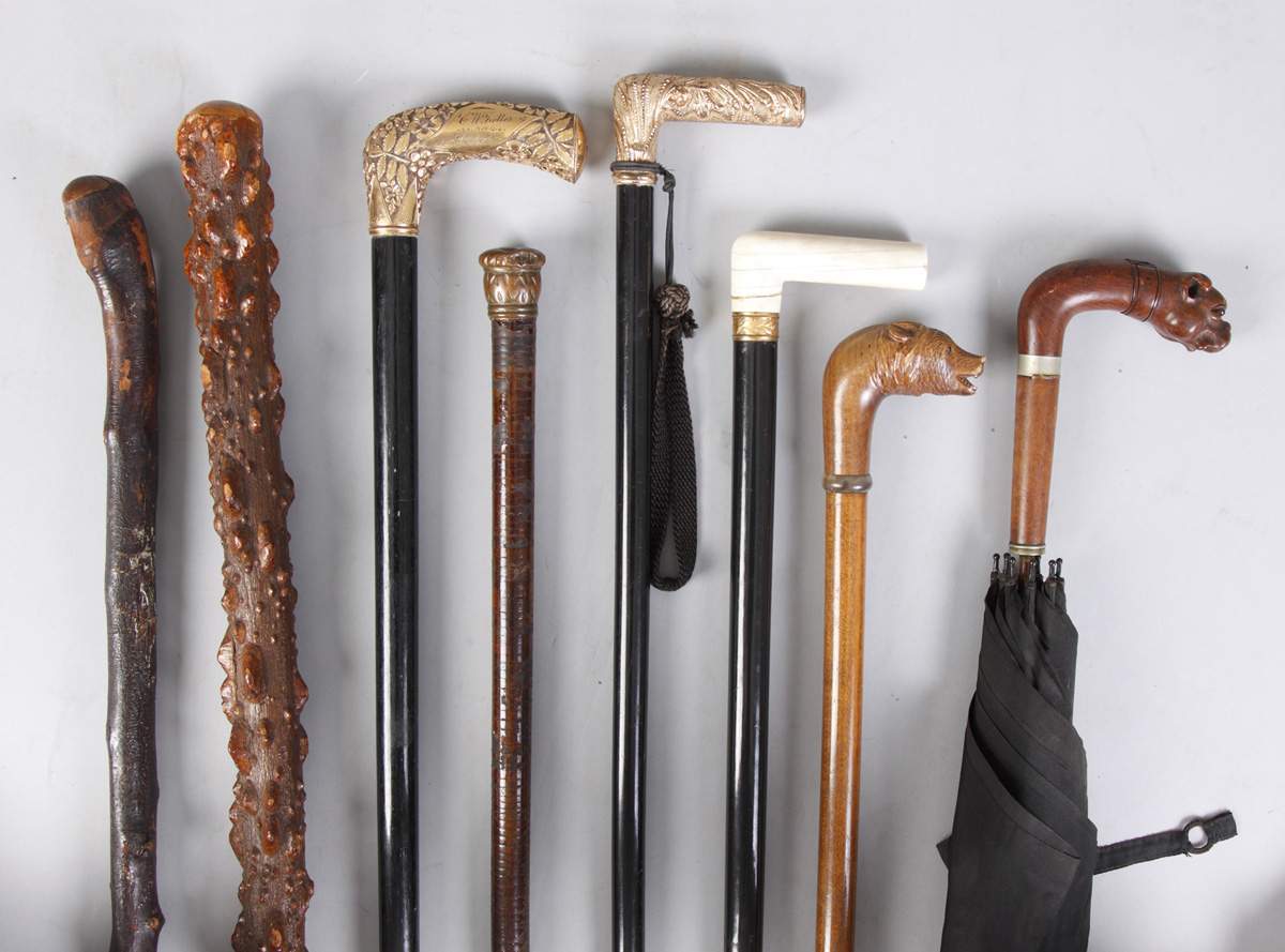 Collection of 7 Canes & 1 Umbrella | Cottone Auctions