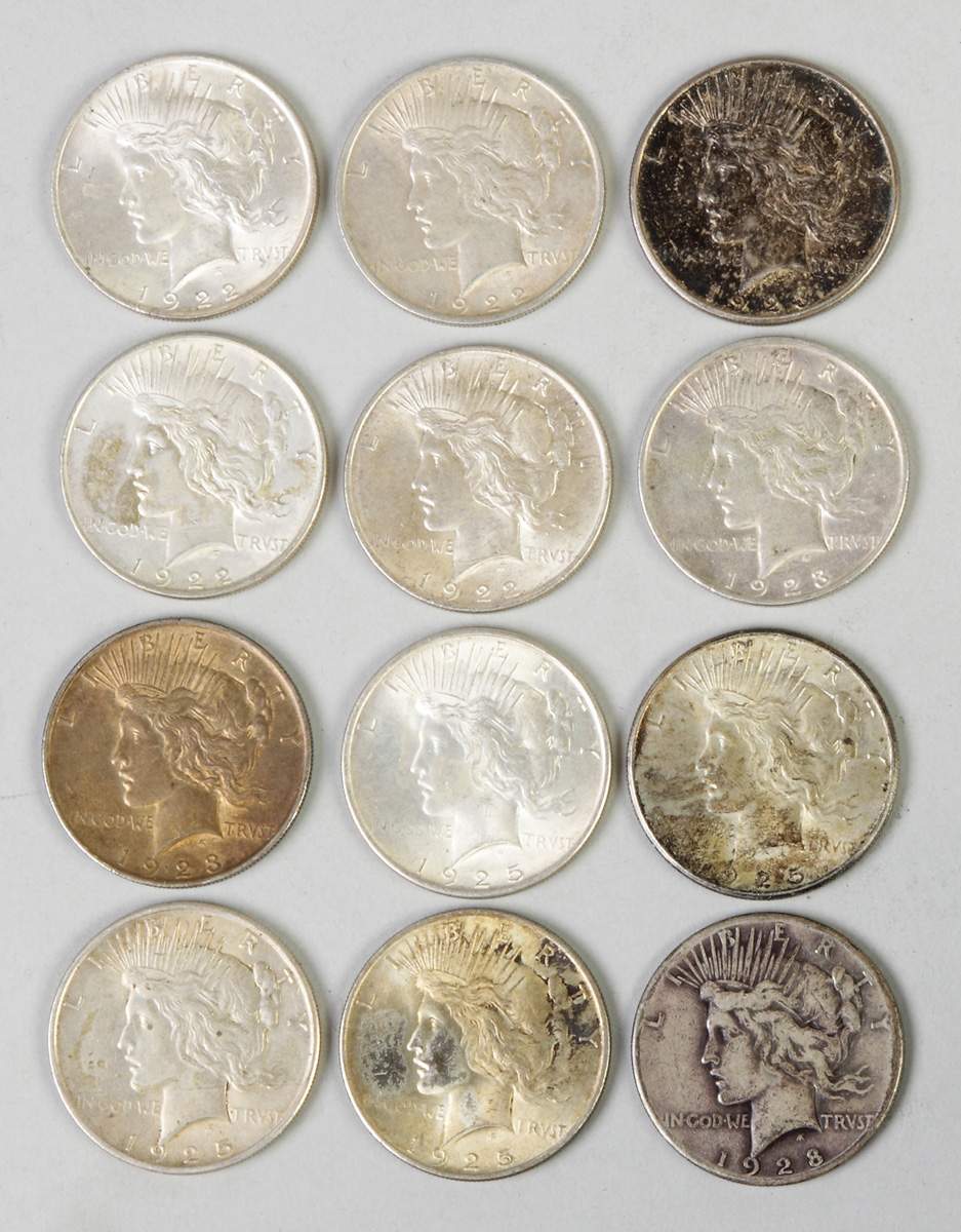 12 Liberty Silver Dollars | Cottone Auctions